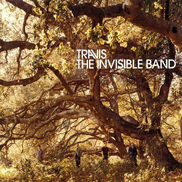 The Invisible Band (Ltd. Box), Vinyl