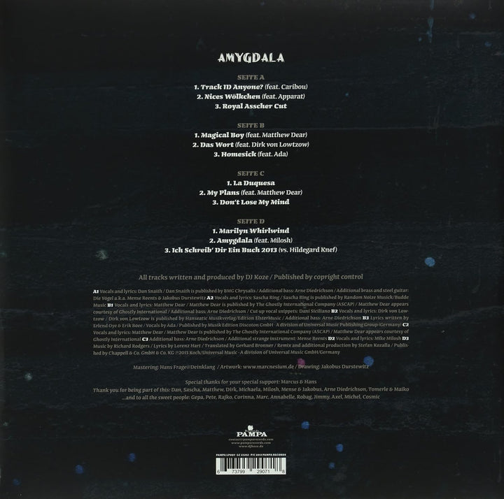 MP3, Vinyl