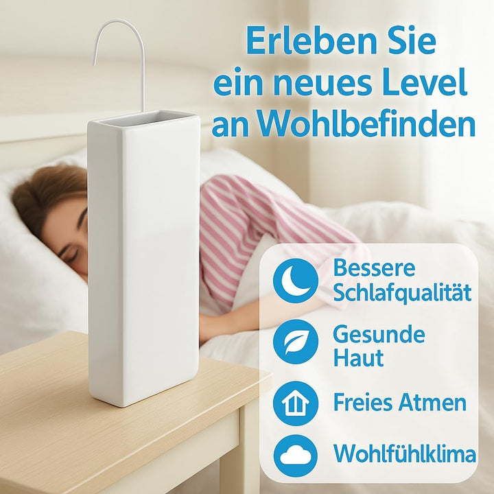 Luftbefeuchter für Heizung Set inkl. Haken - Keramik Wasserverdunster - beige matt - Wasserverdunste