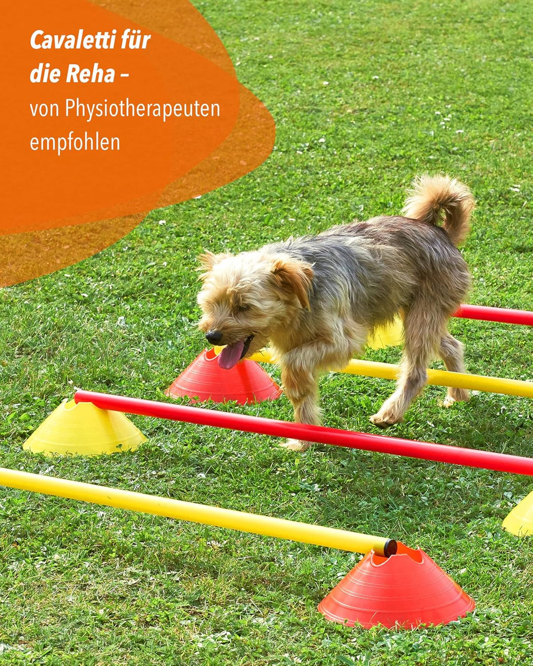 Mini-Hürden 10er Set & Stangen 100 cm – Cavaletti für Agility- & Koordinationstraining – Hürden & Sl