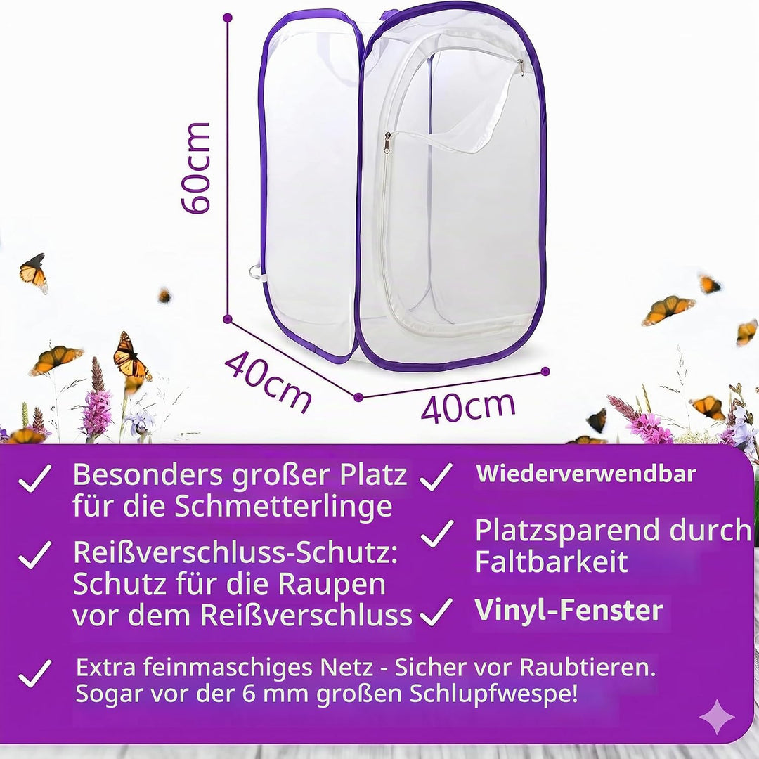 Schmetterlingszucht-Set für Kinder/Erwachsene | Schmetterlinge züchten [Erfolgsgarantie] | Heimische