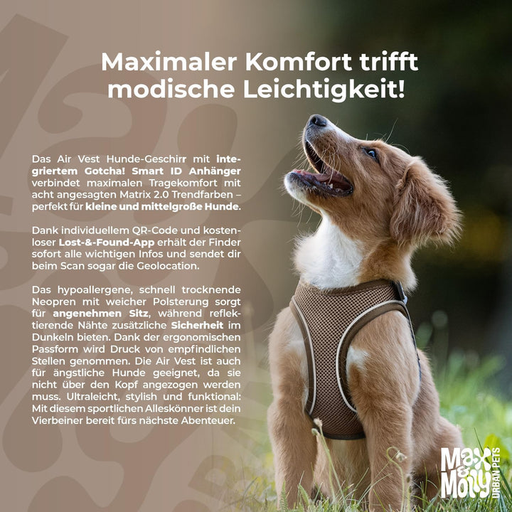 Max &amp; Molly Hundegeschirr Matrix 2.0 Türkis/XXS als Air Vest Geschirr, Step-In Geschirr mit Gotcha!