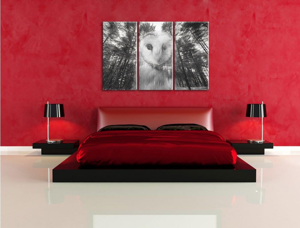 Pixxprint Portrait Einer Eule als Leinwandbild/Grösse: 3 Teilig (120x80) cm/Wandbild/Kunstdruck/fert