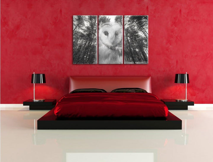 Pixxprint Portrait Einer Eule als Leinwandbild/Grösse: 3 Teilig (120x80) cm/Wandbild/Kunstdruck/fert
