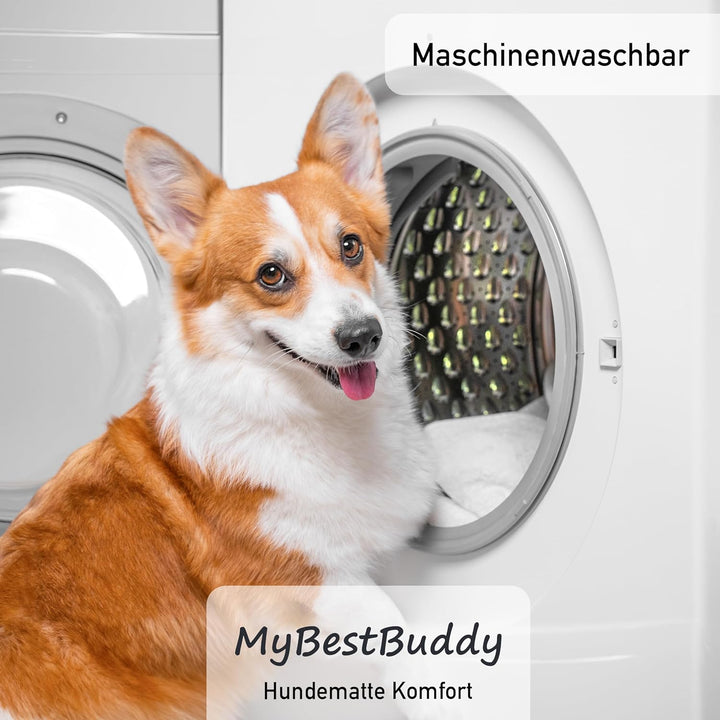 MyBestBuddy Hundekissen Komfort grau 120x80 cm XXL, allergikerfreundlich (100% Polyester), rutschfes