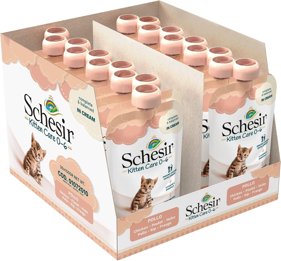 Schesir Cat Kitten Cream Huhn - Kitten Nassfutter für Junge Katzen - Hühner-Creme Katzenfutter nass