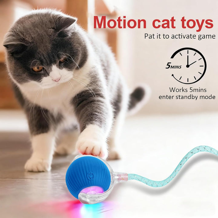 Interaktives Katzenspielzeug，Lot de 2 Katzenspielzeug，Katzenspielzeug Ball Mit Einem Blinkenden und