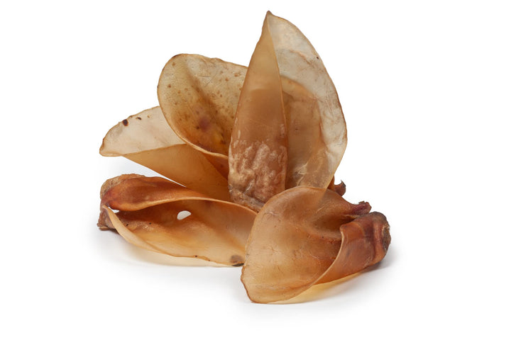 DIBO Rinderohren, 50er-Beutel, Naturkausnacks, Hundefutter, Sonderpreis, Leckerli