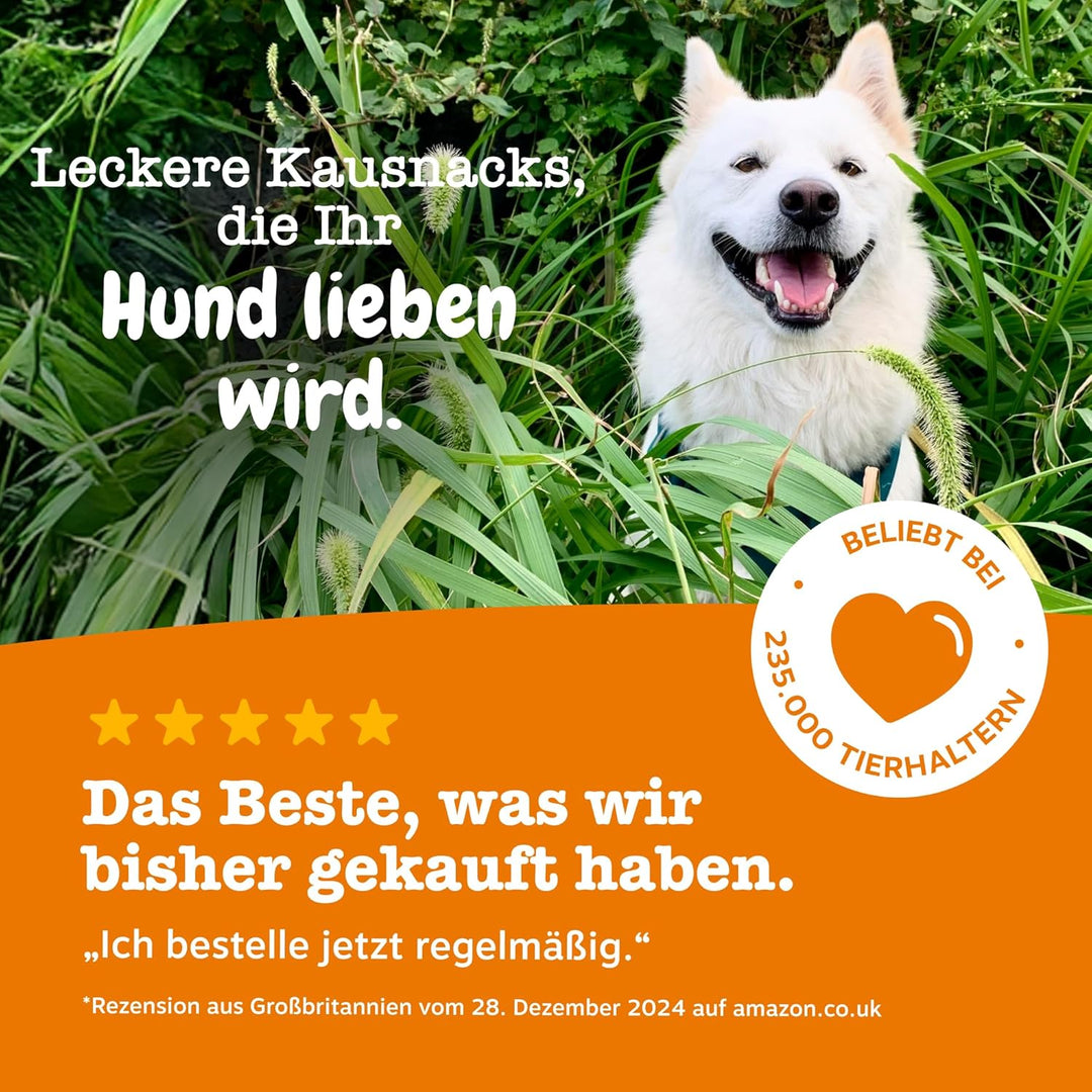 Zesty Paws Allergy Immune Supplement for Dogs Saumon, Saumon