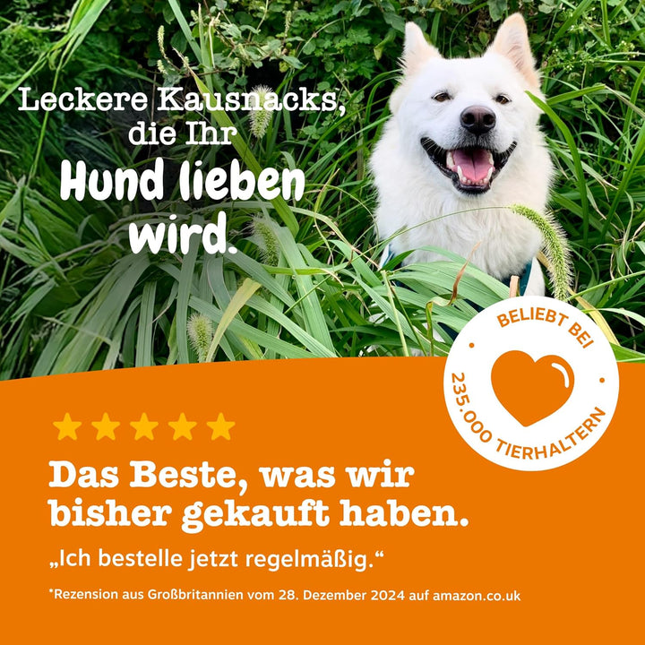 Zesty Paws Allergy Immune Supplement for Dogs Saumon, Saumon