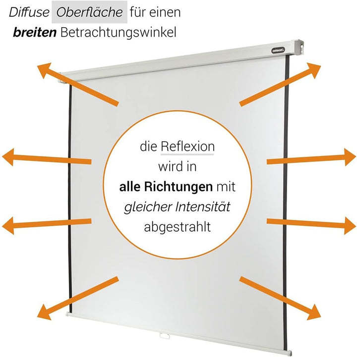 celexon manuell ausziehbare Heimkino- und Business-Beamer-Leinwand 4K und Full-HD Rollo-Leinwand Pro