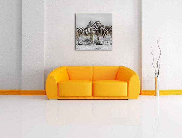 Pixxprint Zebras in der Savanne als Leinwandbild Quadratisch/Grösse: 70x70 / Wandbild/Kunstdruck/fer