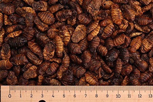 Futtertiere getrocknet 5,0 kg Premium Seidenraupen - Koifutter