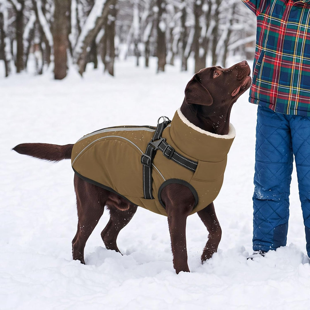 Hundemantel Hundejacke Warm Wintermantel mit Reissverschluss Winddichte &amp; Winddichte mit Reflektorst