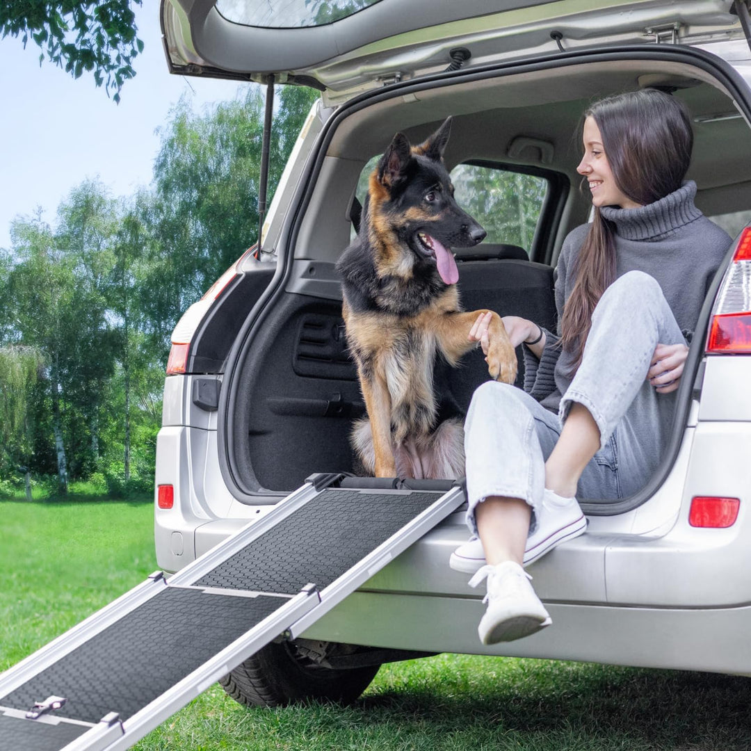 Hunderampe Auto Klappbar- Teleskop Alu Rampe für grosse Hunde - Stabile Hundetreppe Auto & SUV - rut