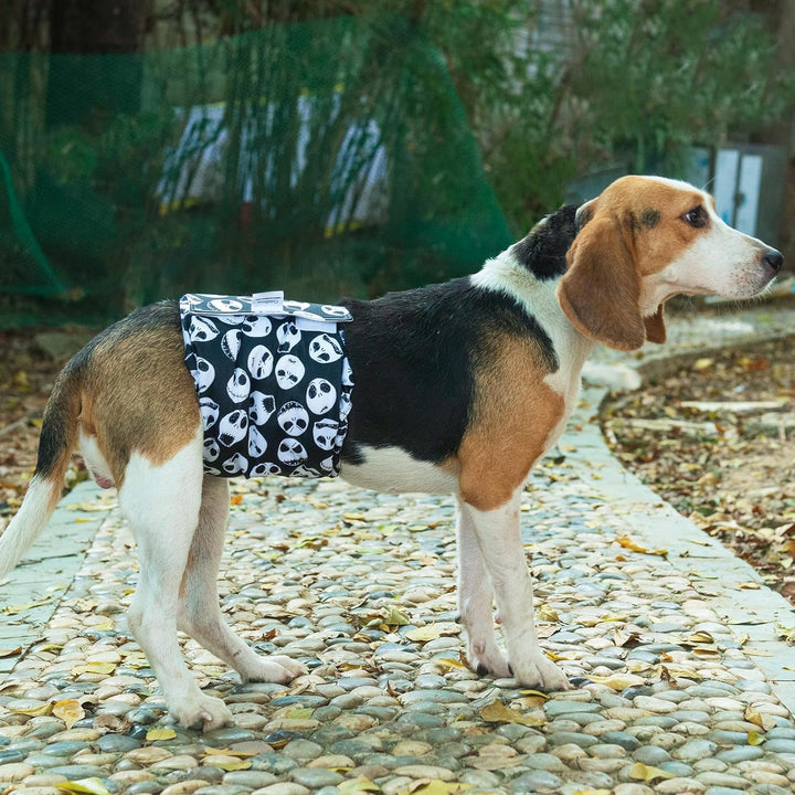 CuteBone Männlich Waschbare Hundewindeln Bauchbänder,3 Stück Wiederverwendbare hund bauchband für Rü