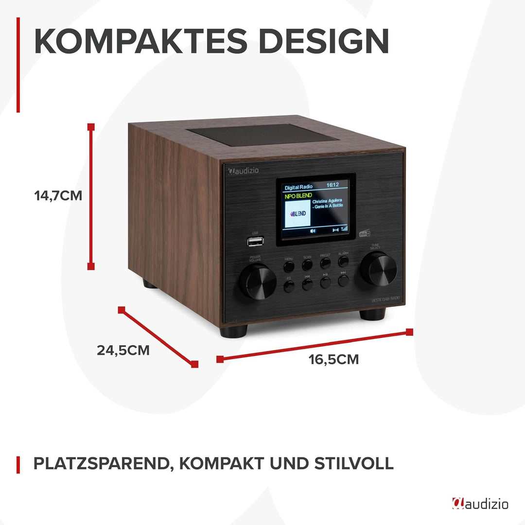 Audizio Vieste - DAB Radio mit Bluetooth, Digitalradio, 60 Watt Lautsprecher, DAB Plus Radio mit USB