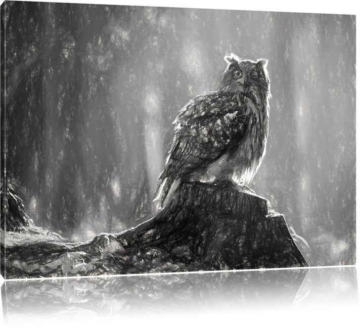 Pixxprint Eule auf dem Baumstamm als Leinwandbild/Grösse: 100x70 cm/Wandbild/Kunstdruck/fertig bespa