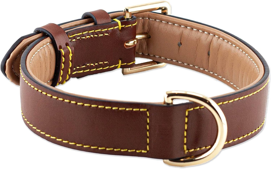 Brute Strength Hundehalsband aus Leder - Braun - XL - 56-63 cm XL - 56-63 cm Braun, XL - 56-63 cm Br
