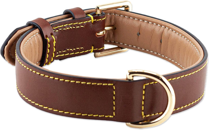 Brute Strength Hundehalsband aus Leder - Braun - XL - 56-63 cm XL - 56-63 cm Braun, XL - 56-63 cm Br