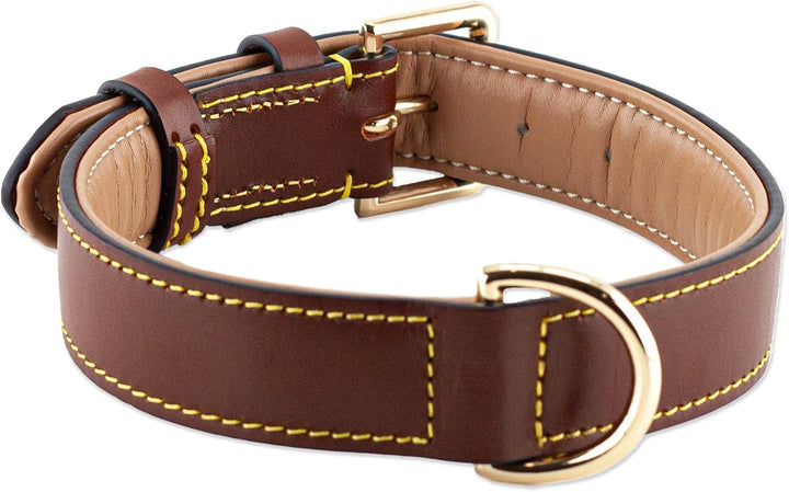 Brute Strength Hundehalsband aus Leder - Braun - XL - 56-63 cm XL - 56-63 cm Braun, XL - 56-63 cm Br