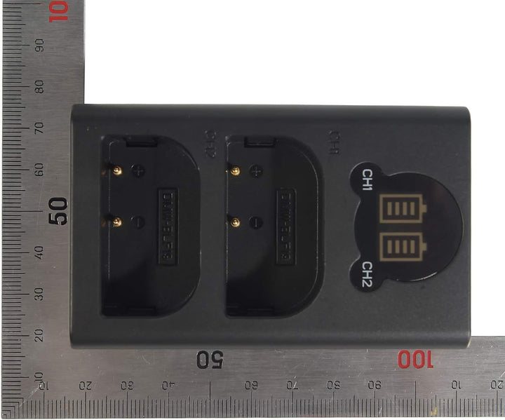 DSTE 2 x DMW-BLF19E Ersatzakku + Dual USB-Ladegerät mit LCD-Display, kompatibel mit DMW-BLF19 und Pa