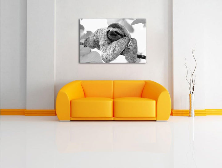 Pixxprint Faultier hängt von AST als Leinwandbild/Grösse: 100x70 cm/Wandbild/Kunstdruck/fertig bespa