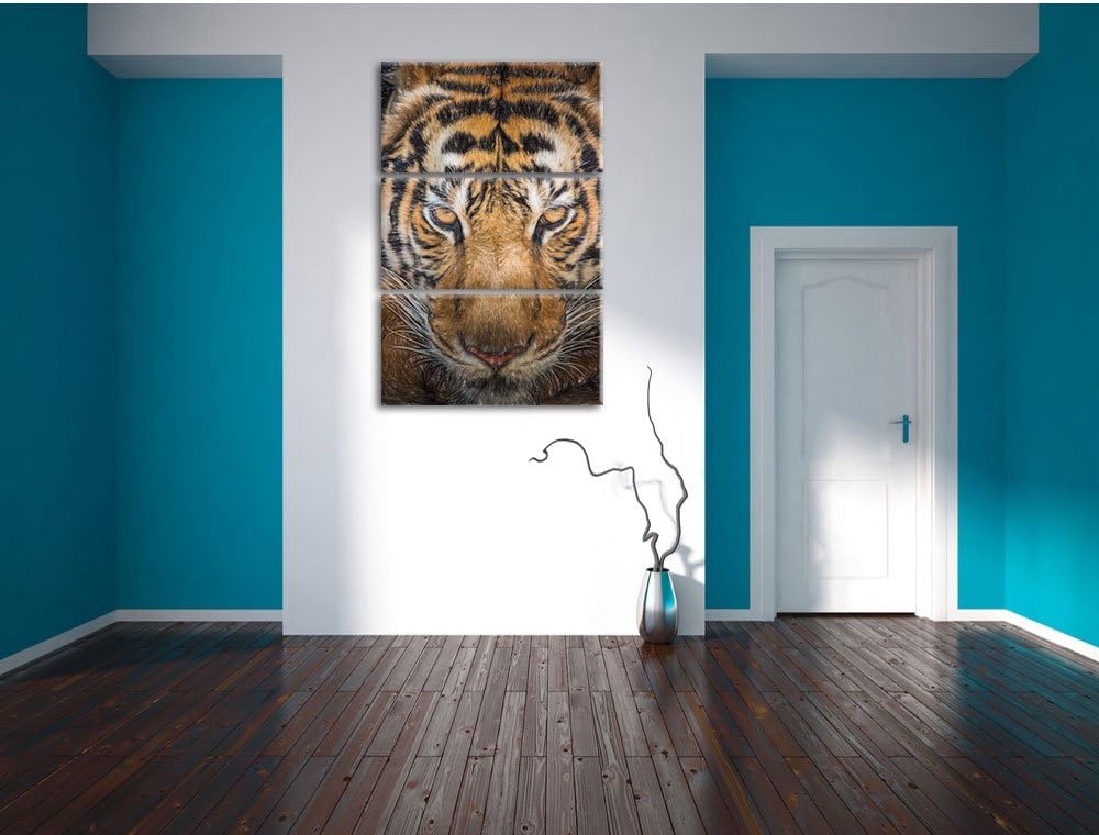 Pixxprint Tiger mit hellbraunen Augen / 3-Teilig/Gesamtmass 120cm Leinwandbild bespannt auf Holzrahm