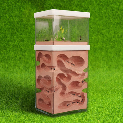 aleawol Natürliche Ameisenfarm Ameisennest Formicarium aus Gips Transparentes Ameisenhaus Ameisen Zu