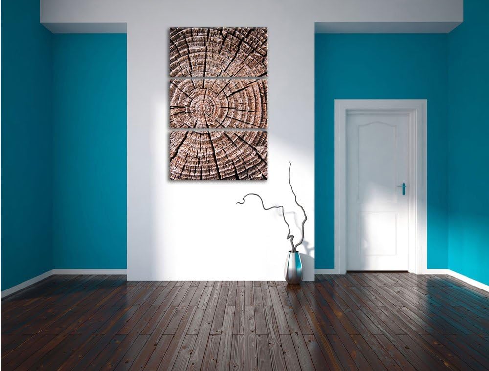 Pixxprint Baumstamm Jahresringe als Leinwandbild/Grösse: 3 Teilig (120x80) cm/Wandbild/Kunstdruck/fe