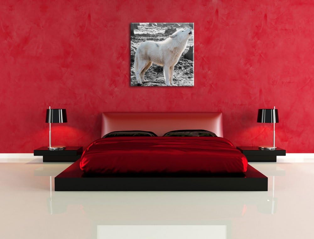 Pixxprint weisser jaulender Wolf im Wald als Leinwandbild/Grösse: 70x70 cm/Wandbild/Kunstdruck/ferti