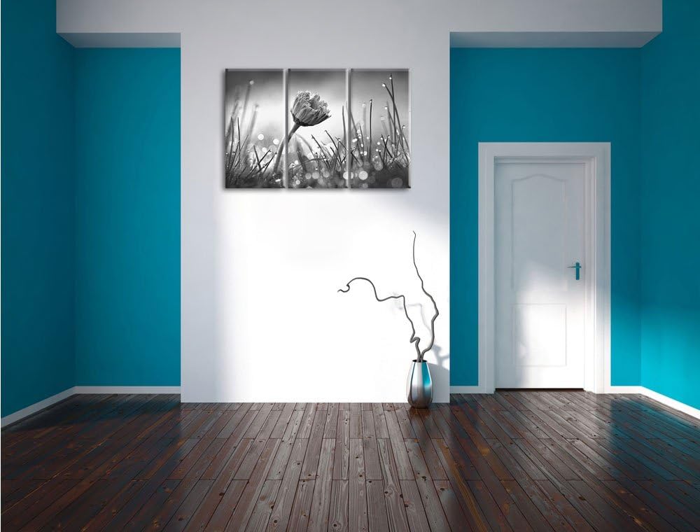 Pixxprint Gänseblümchen im Gras / 3-Teilig/Gesamtmass 120cm Leinwandbild bespannt auf Holzrahmen/Wan