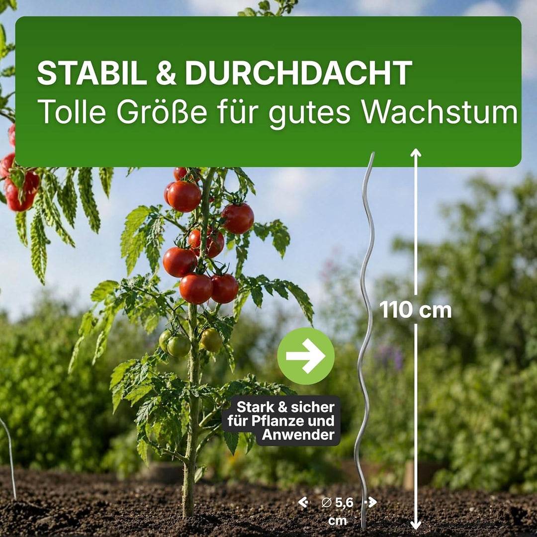 Gartenwelt Riegelsberger Tomatenspiralen Höhe 110 cm aus Stahl Ø 5,6 mm Tomatenspiralstäbe Ranke Pfl