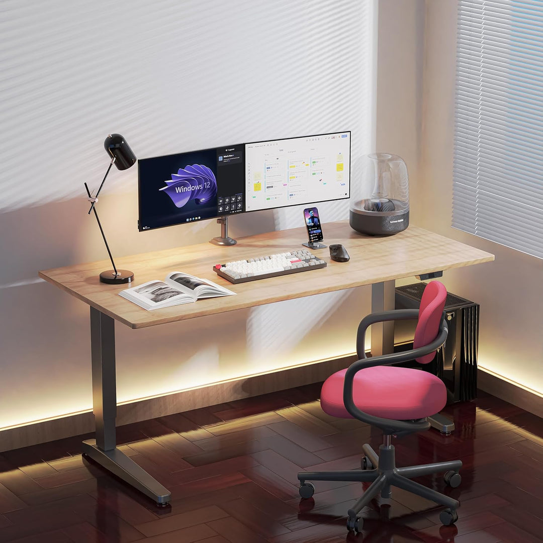 Ergosolid Tischhalterung with Gasfeder for Dual 17-35 Zoll LCD LED Monitore with VESA max. 100 x 100