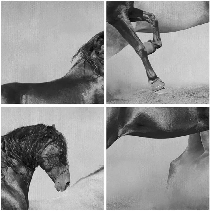 Bilder auf Leinwand Pferde Tiere Galopp Wiese Leinwandbild 70x50cm Wandbilder Dekoration Wohnzimmer