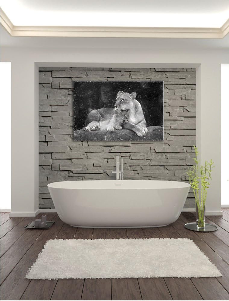 Pixxprint Löwe Löwenjungen / 100x70cm Leinwandbild bespannt auf Holzrahmen/Wandbild Kunstdruck Dekor