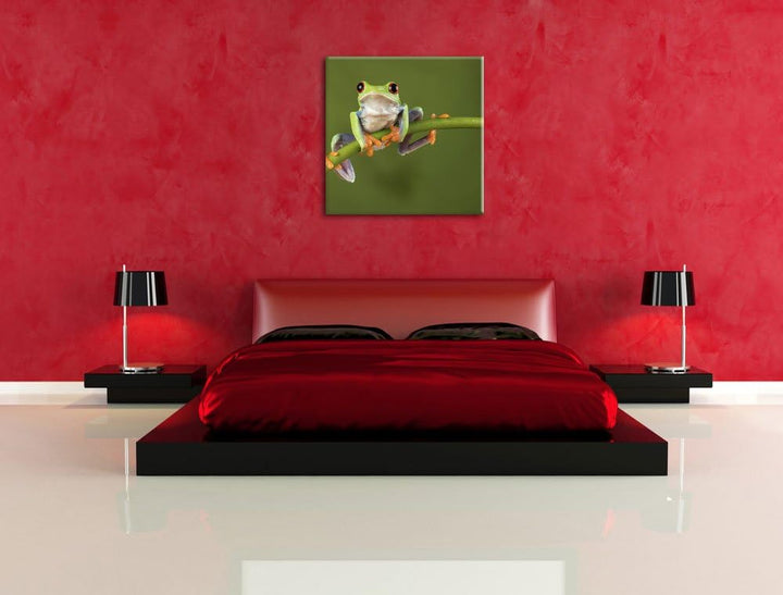 Baum-Frosch auf Bambus, Format: 70x70 auf Leinwand, XXL riesige Bilder fertig gerahmt mit Keilrahmen