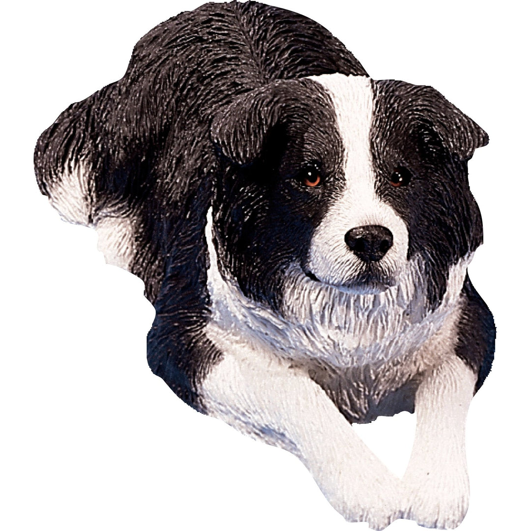 Sandicast Sculpture, Original Size, White & Black Original Size Schwarz-Weisser Border Collie - lieg
