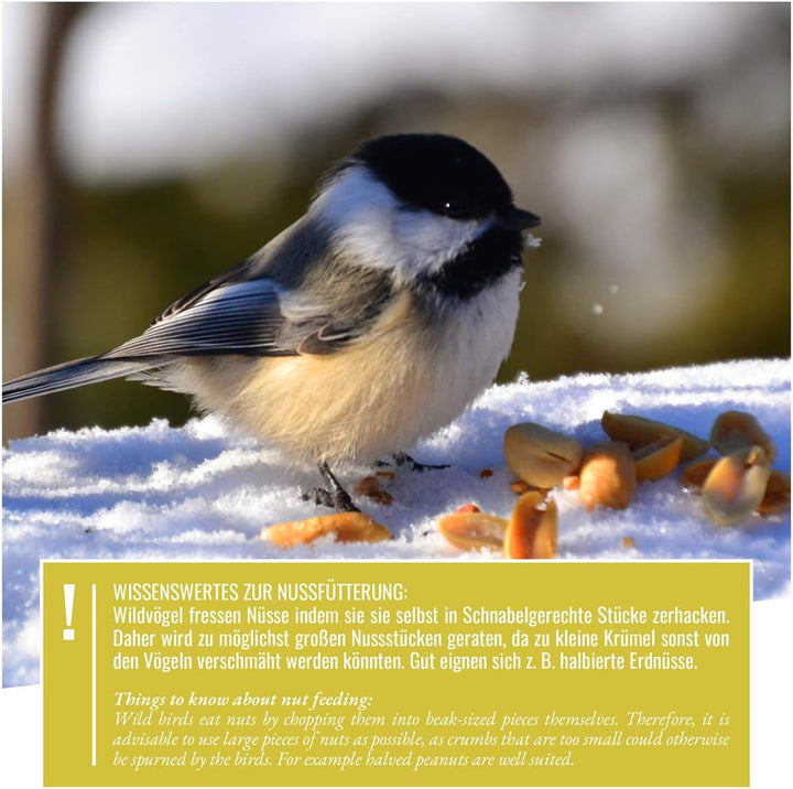 wildtier herz I Vogelfutterspender 26cm - Erdnussfutterspender aus rostfreiem Edelstahl, Vogel Futte