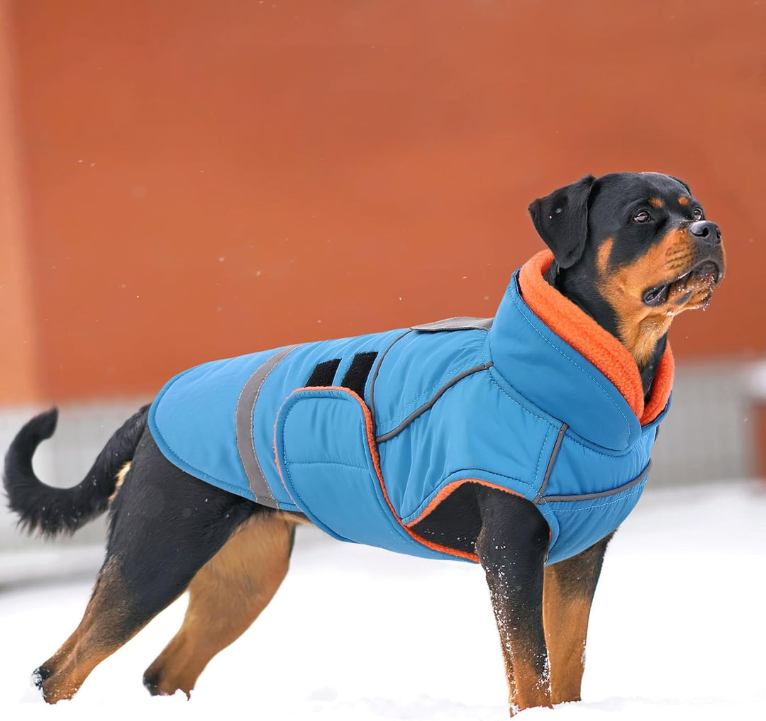CITÉTOILE Wasserdichter Hundemantel mit Leinenöffnung Blau S | Zweifarbige Hundejacke mit Klettversc