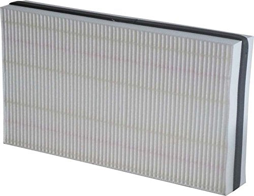 Luftfilter, Ersatz MAICO WSF 170