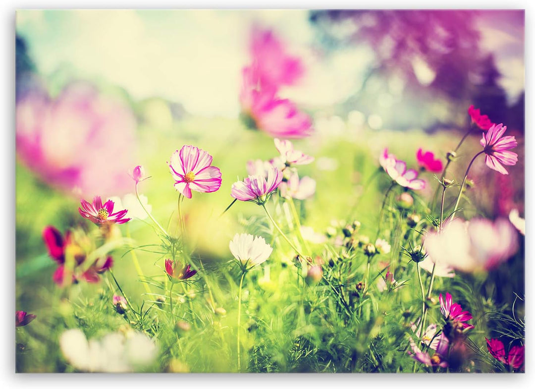 ge Bildet Bild auf Leinwand | Landschaftsbilder - Frühling Q in 70x50 cm als Wandbild | Wand-deko De