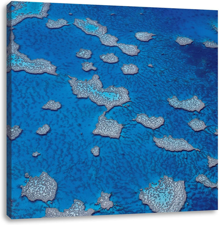 Korallenriffe Australien, Format: 70x70 auf Leinwand, XXL riesige Bilder fertig gerahmt mit Keilrahm