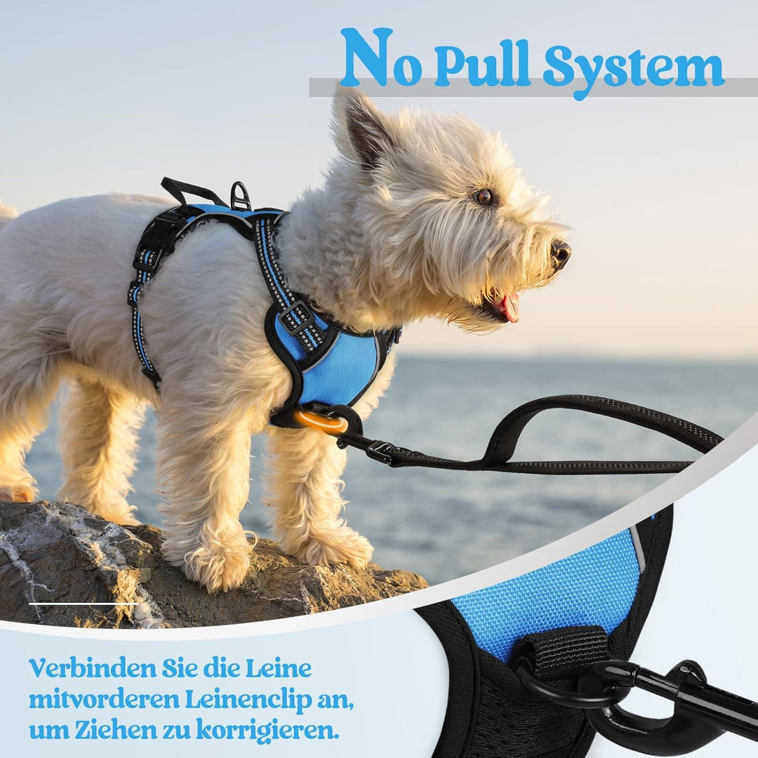 rabbitgoo Hundegeschirr Kleine Hunde, Anti Zug Geschirr mit Kontrolle, No Pull Verstellbar Hundegesc