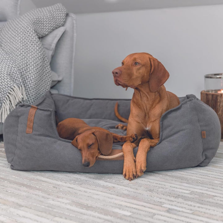 TRIXIE Hundebett BE Nordic Föhr 60x50 cm in dunkelgrau – eckiger Hundekorb für kleine & grosse Hunde