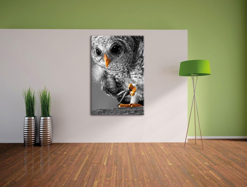 Pixxprint Eule mit Grille in ihren Krallen als Leinwandbild/Grösse: 100x70 cm/Wandbild/Kunstdruck/fe
