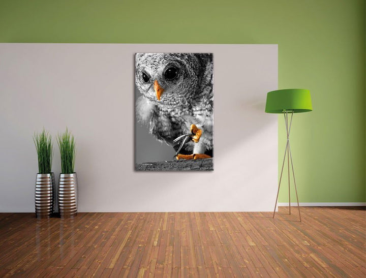 Pixxprint Eule mit Grille in ihren Krallen als Leinwandbild/Grösse: 100x70 cm/Wandbild/Kunstdruck/fe