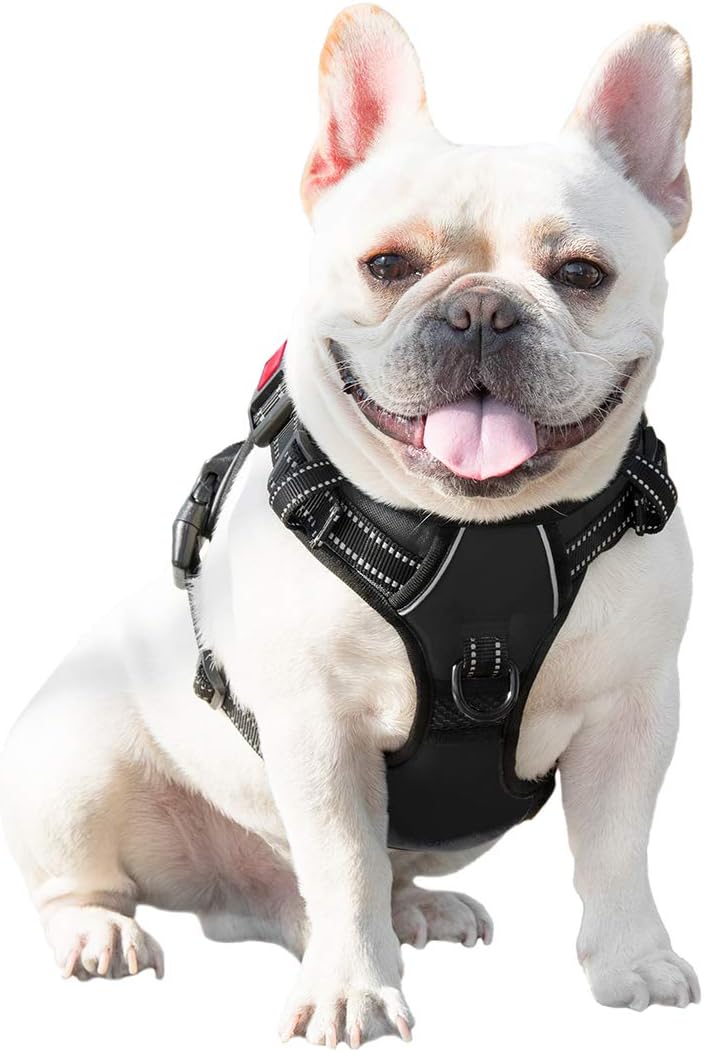 PHOEPET 2 Anti-Zieh-Hundegeschirr für kleine Hunde, reflektierend, verstellbar, mit Clip an der Vord