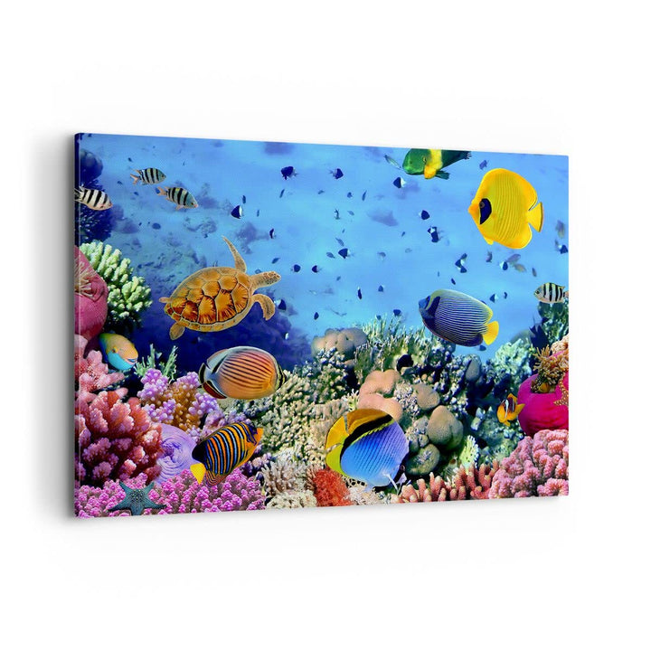 Bilder auf Leinwand 100x70cm Leinwandbild mit Rahmen Korallenriff Gross Wanddeko Bild Schlafzimmer K