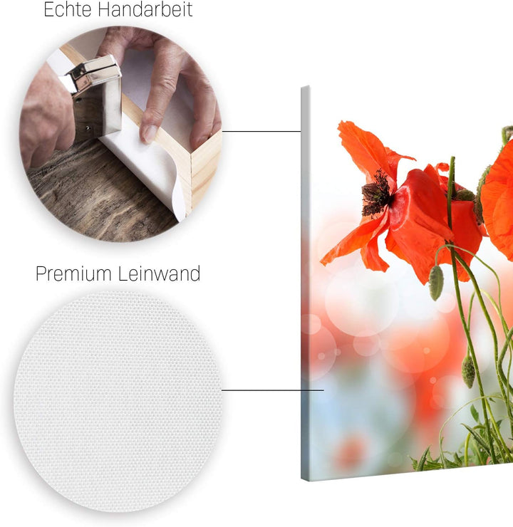 ge Bildet Bild auf Leinwand | Pflanzen Bilder - Mohn - Blumen Rot Natur in 50x50 cm als Wandbild | W